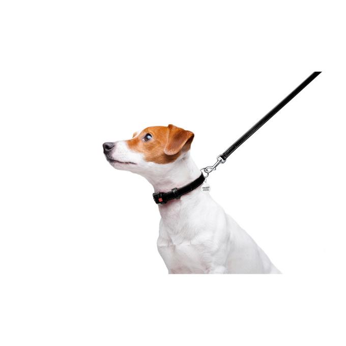 WAUDOG 33721