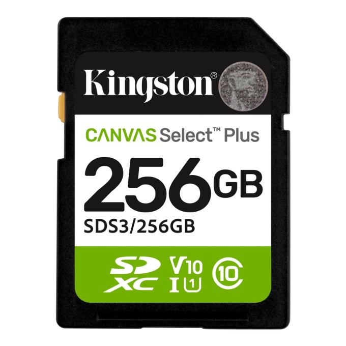 Kingston SDS3/256GB