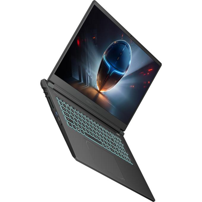Thunderobot 911X17-i7136H56C1Q165MB