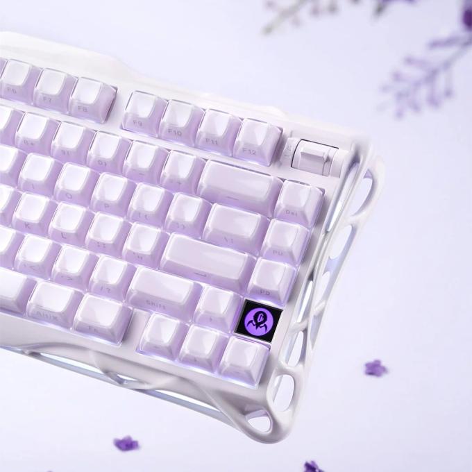 GravaStar GSK1 PL
