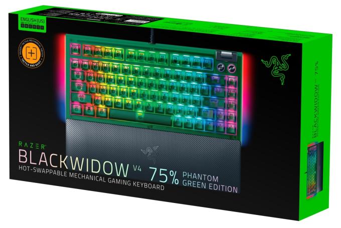 Razer RZ03-05003300-R3M1
