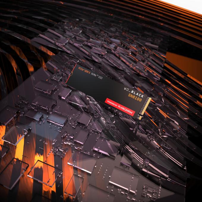 SANDISK WDS100T1X0M