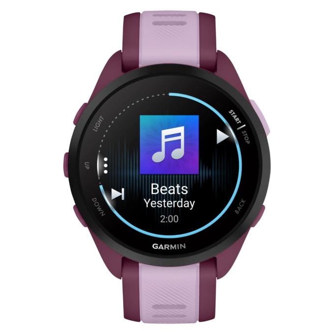Garmin 010-02863-33