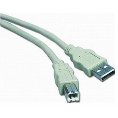 Cablexpert CCB-USB2-AMBM-10