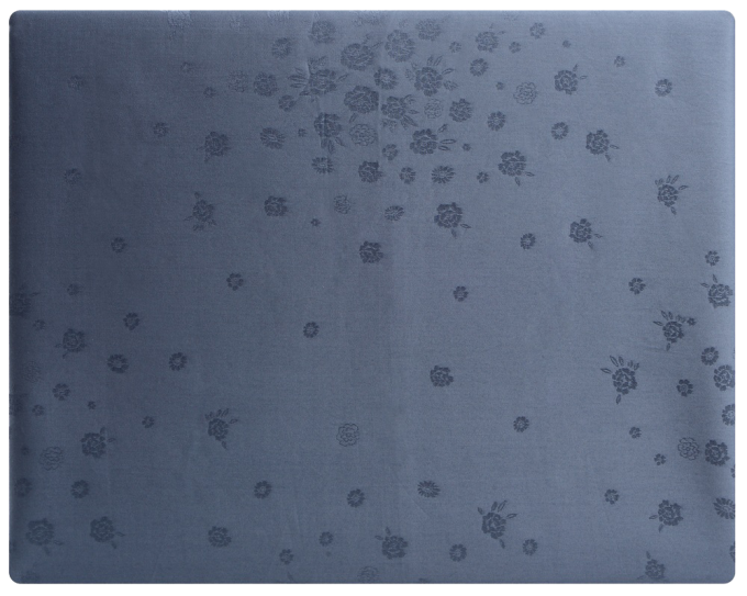 SOHO A130104