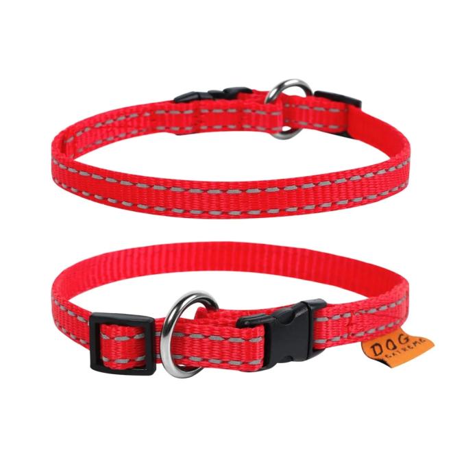 Collar 01573