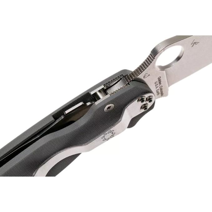 Spyderco C81GPDGY2