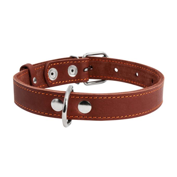 Collar 02196