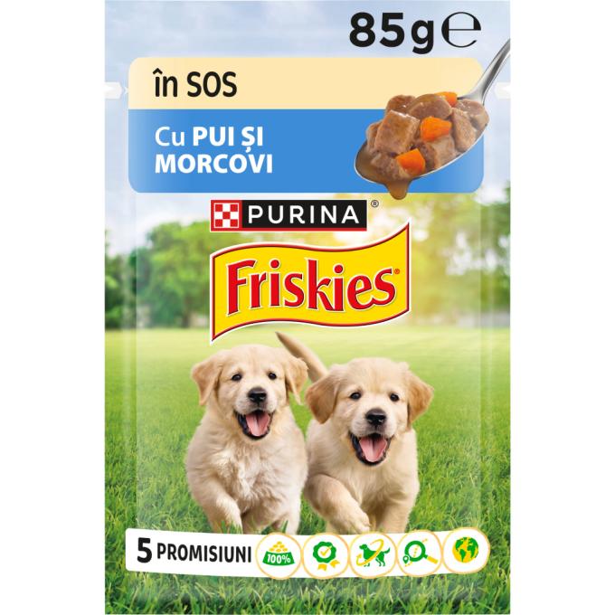 Purina Friskies 7613035800861