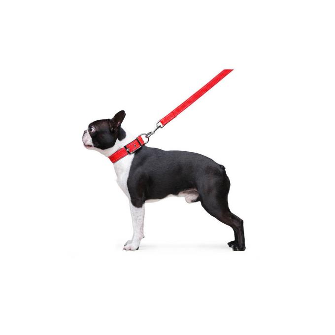 Dog Extreme 42983