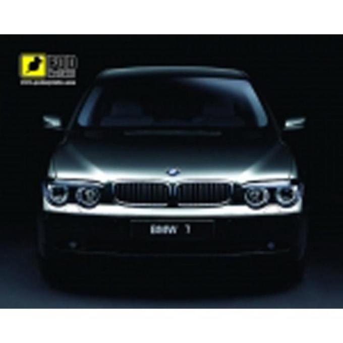 Pod Mishkou BMW