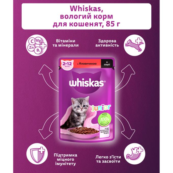 Whiskas 5900951301957