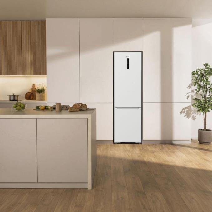 Gorenje NRB620E61W4WFE
