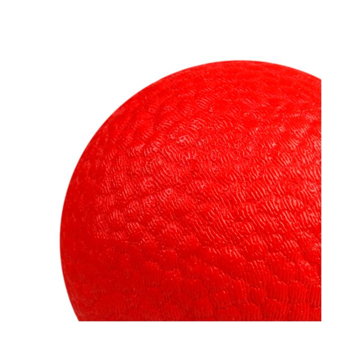 WAUDOG 6001