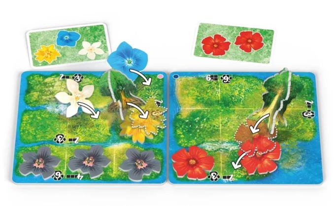 Lords of Boards 3558380122180