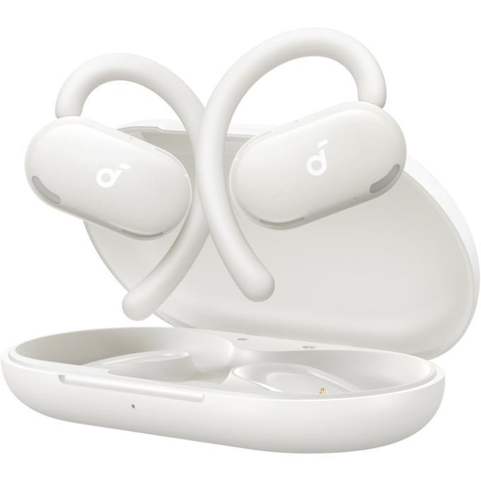 Anker A3876G21