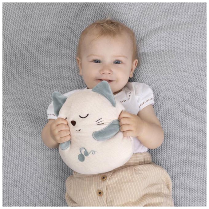 Chicco 11567.00