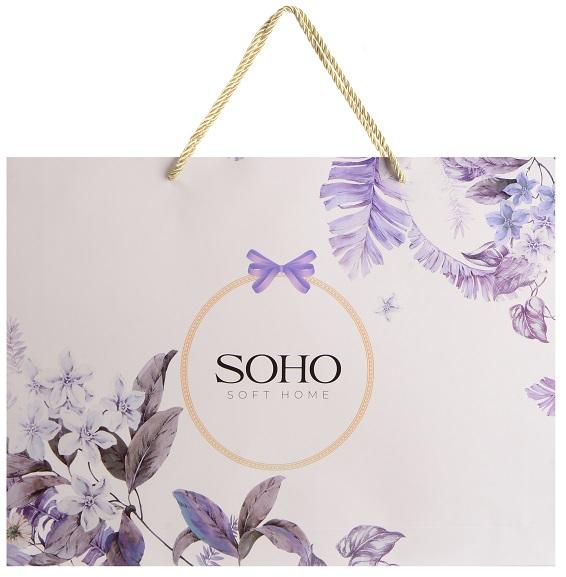 SOHO A130201