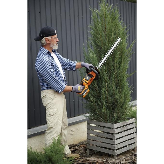 SEQUOIA SBHT2020T