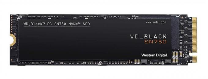 WD WDS250G3X0C