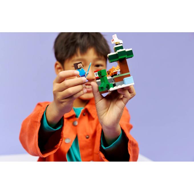 LEGO 21583