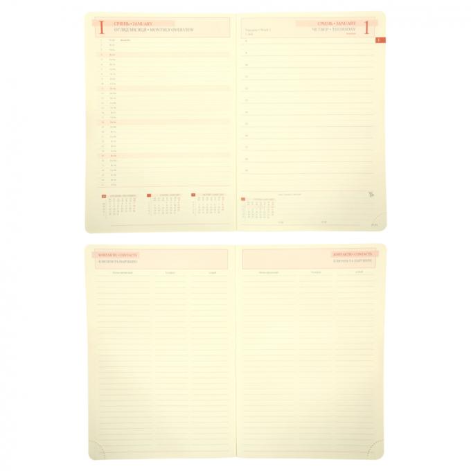 Leo planner 252666