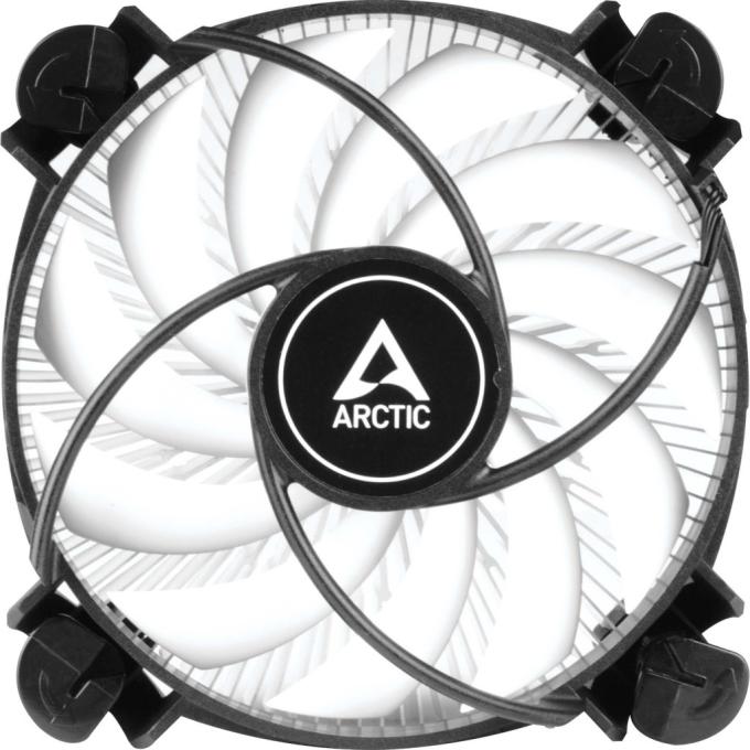 Arctic ACALP00042A