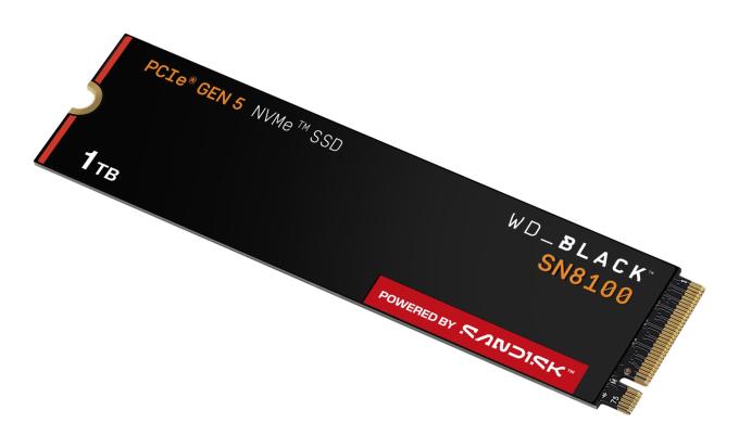 SANDISK WDS100T1X0M