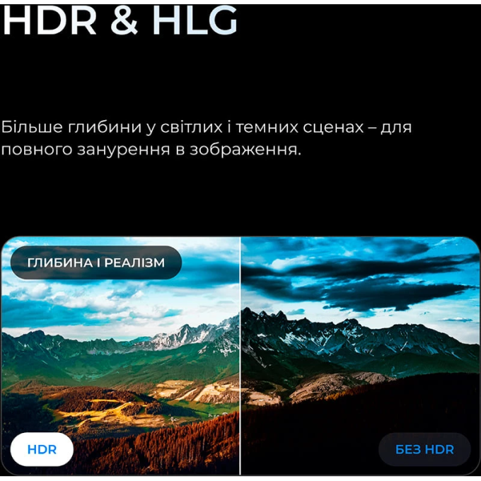 Kivi 32H800KB