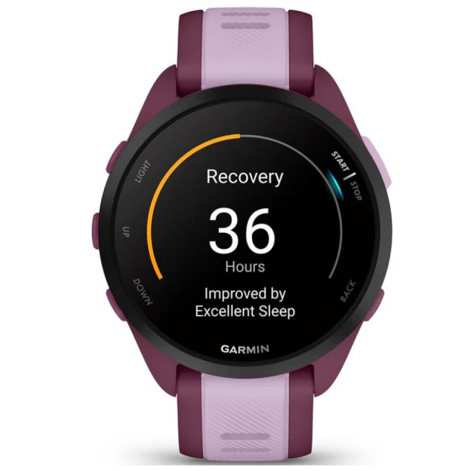 Garmin 010-02863-33