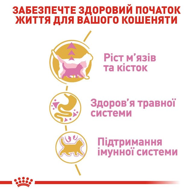 Royal Canin 2566004