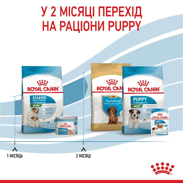 Royal Canin 2990010