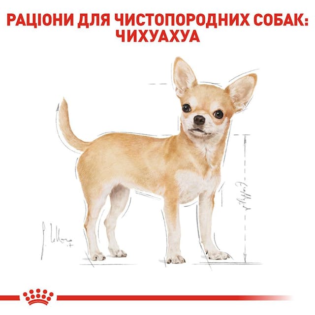 Royal Canin 2210005