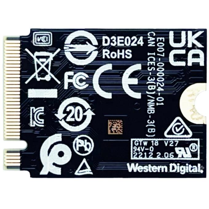WD SDDPTQD-256G