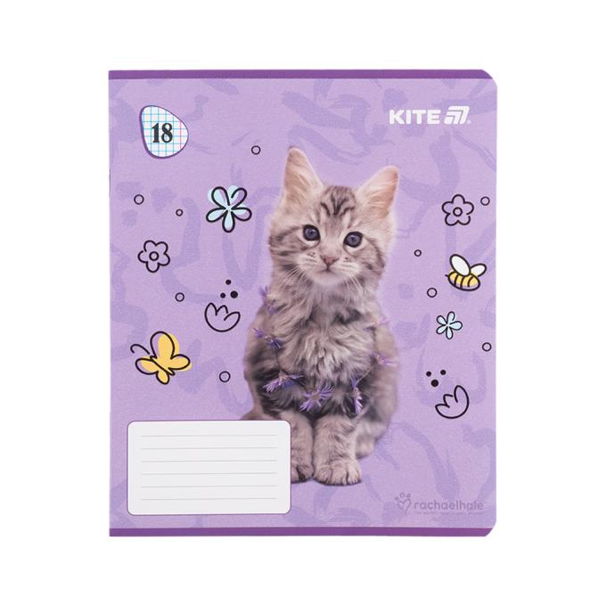 Kite R25-236