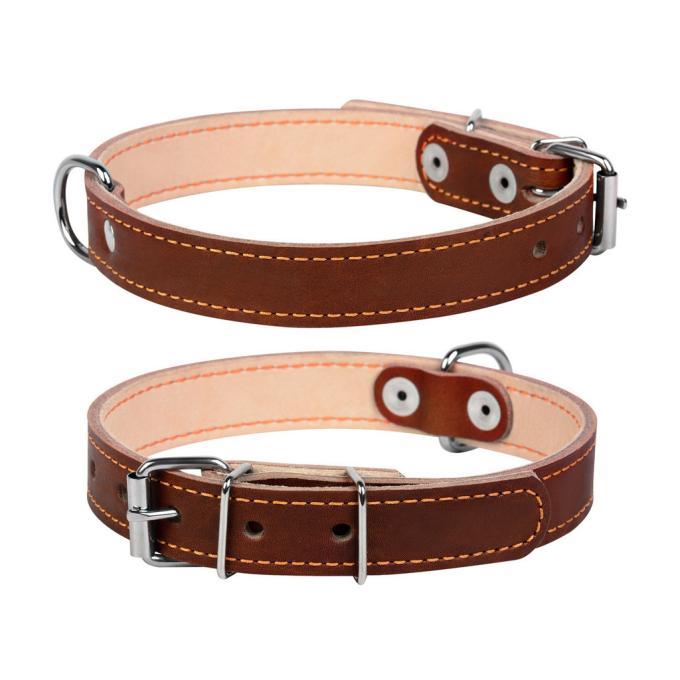 Collar 00126