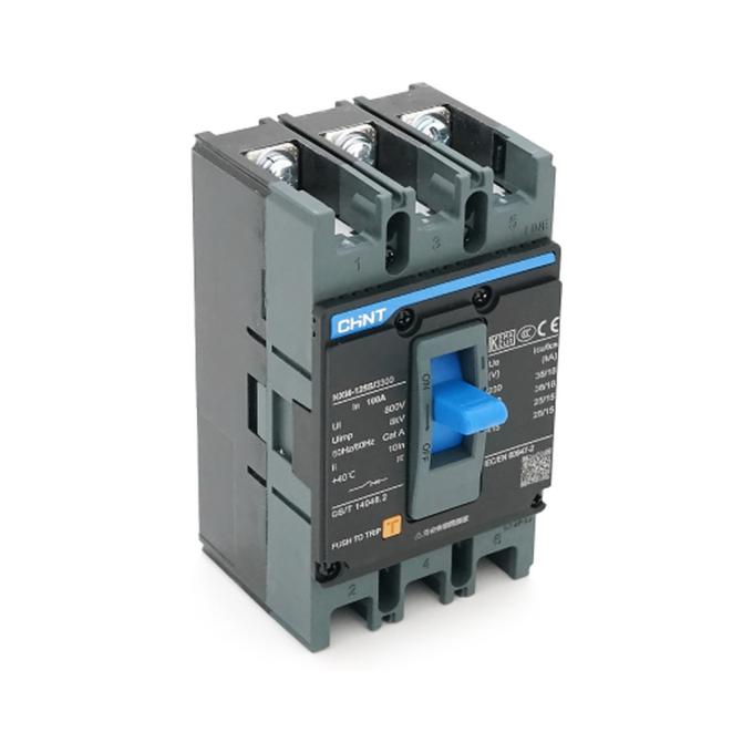 Chint NXM-125S-3300-100A