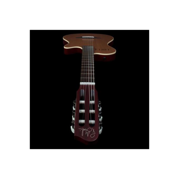 Godin 235919