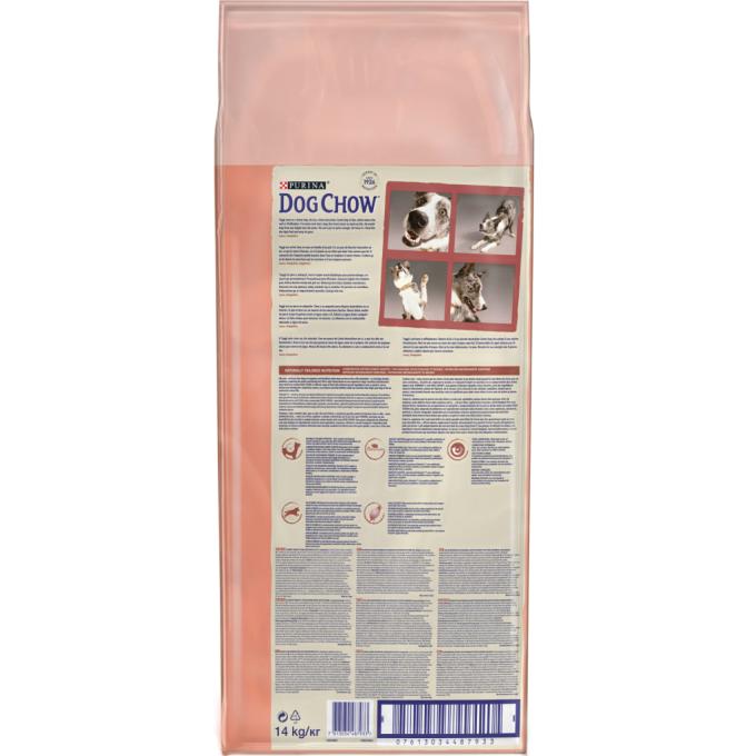 Purina Dog Chow 7613034487933
