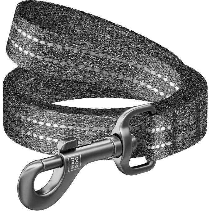 WAUDOG 032111
