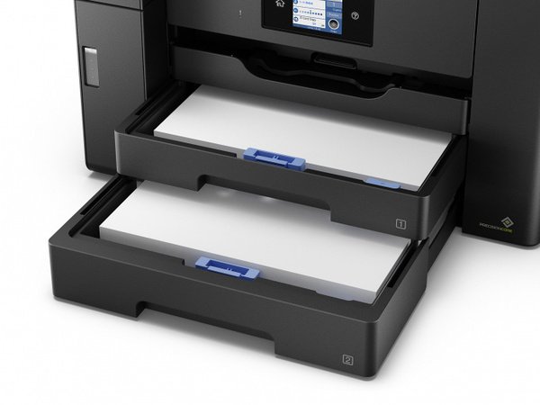 EPSON C11CJ41404