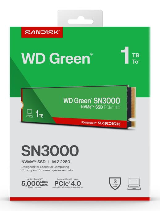 WD WDS100T4G0E
