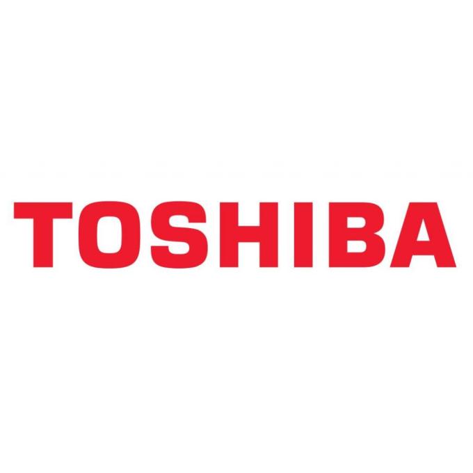 TOSHIBA 6AJ00000200