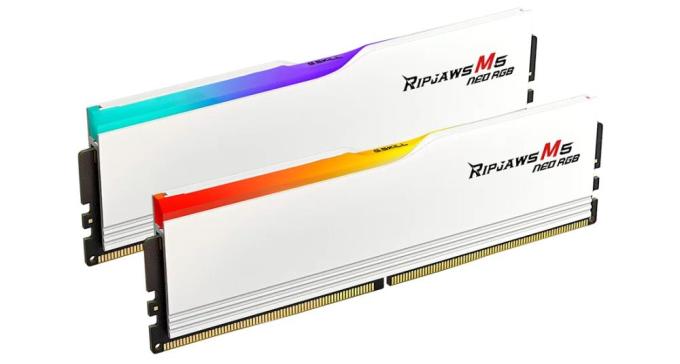 G.Skill F5-6000J3636F32GX2-RM5NRW