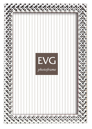EVG S08 Silver