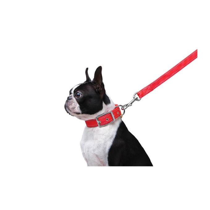 Dog Extreme 42983