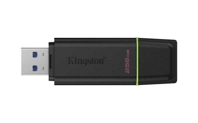 Kingston DTXG2/256GB