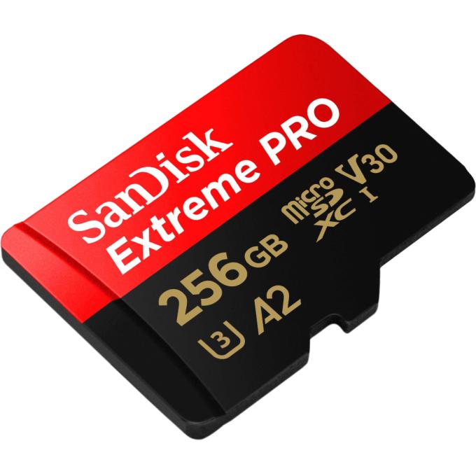 SANDISK SDSQXCD-256G-GN6MA