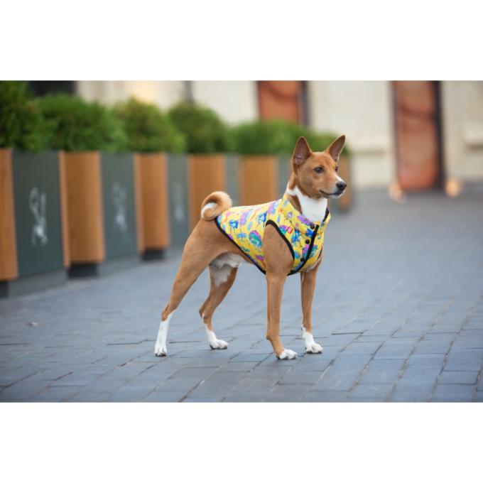 WAUDOG 0965-0282