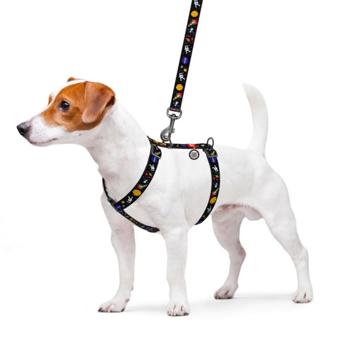 WAUDOG 5609